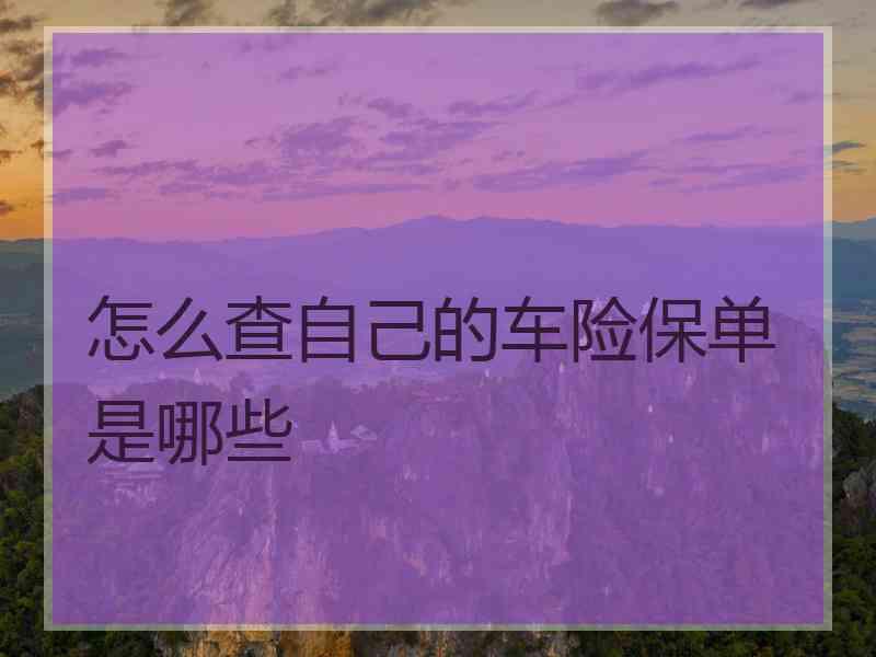 怎么查自己的车险保单是哪些 怎么查自己的车险保单是哪些