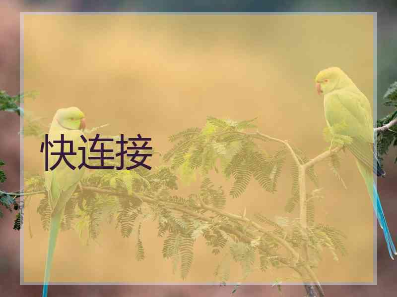 快连接 快连接