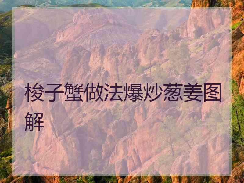 梭子蟹做法爆炒葱姜图解 梭子蟹做法爆炒葱姜图解