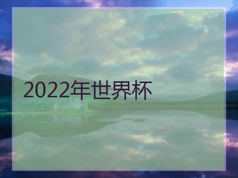 2022年世界杯 2022年世界杯