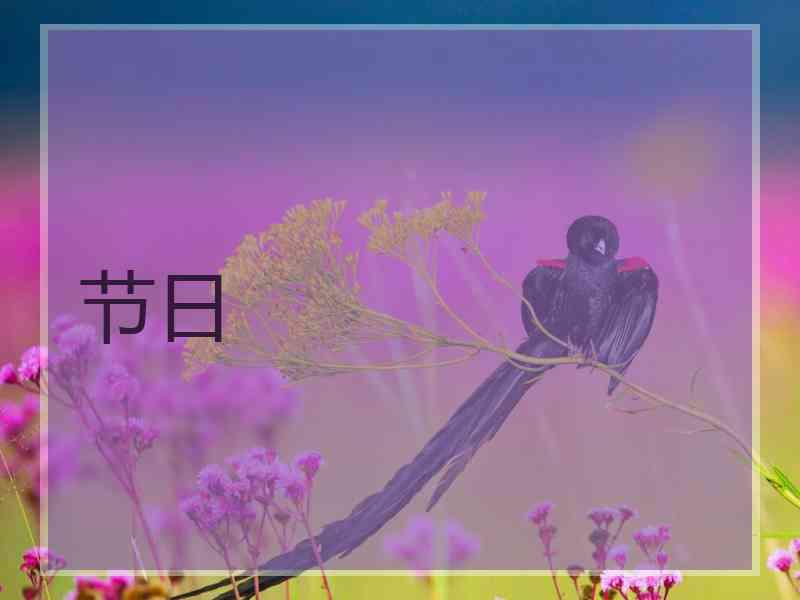 节日 节日