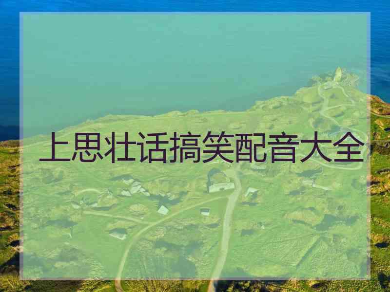 上思壮话搞笑配音大全 上思壮话搞笑配音大全