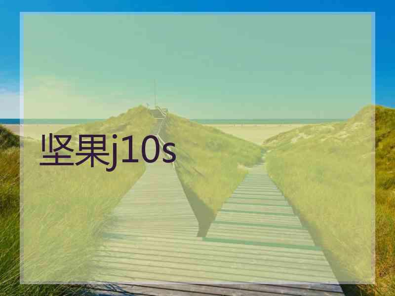 坚果j10s 坚果j10s