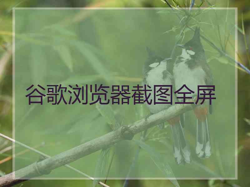 谷歌浏览器截图全屏 谷歌浏览器截图全屏