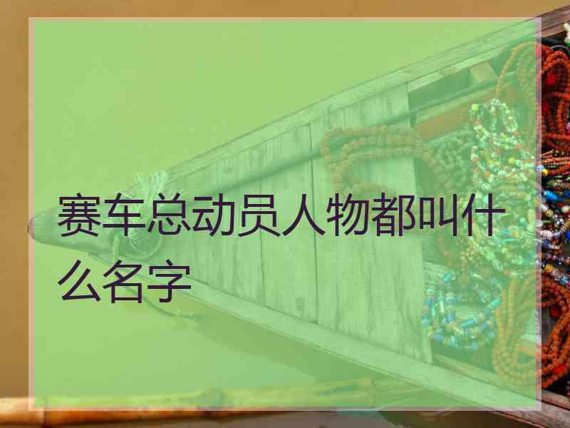 赛车总动员人物都叫什么名字 赛车总动员人物都叫什么名字