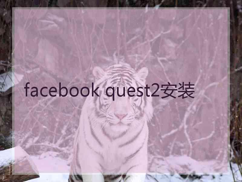 facebook quest2安装 facebook quest2安装