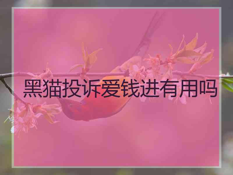 黑猫投诉爱钱进有用吗 黑猫投诉爱钱进有用吗