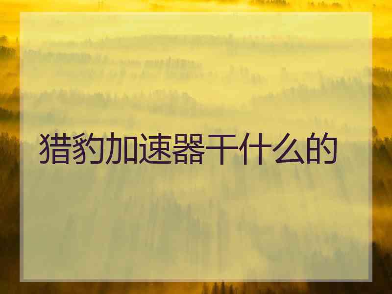 猎豹加速器干什么的 猎豹加速器干什么的