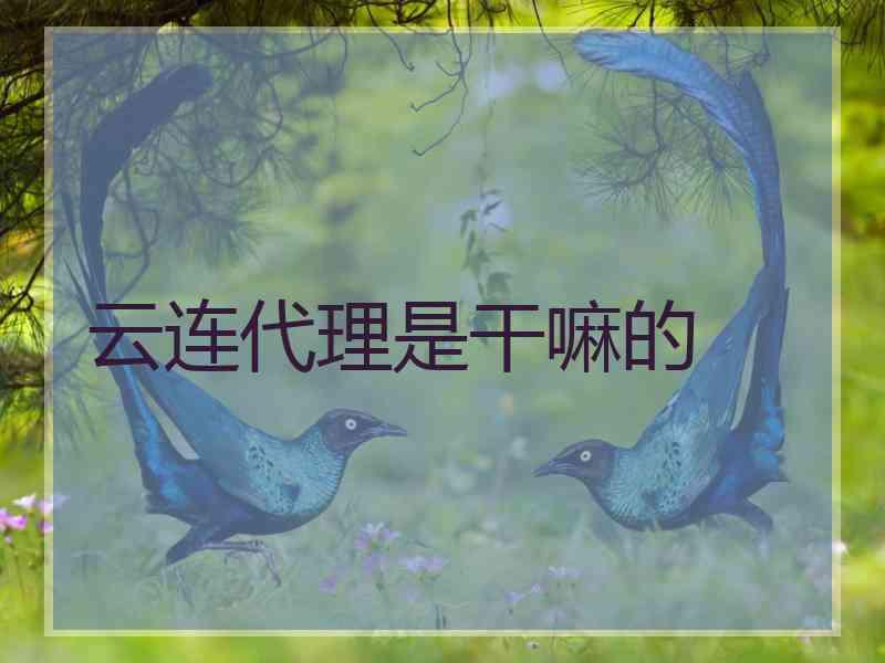 云连代理是干嘛的 云连代理是干嘛的