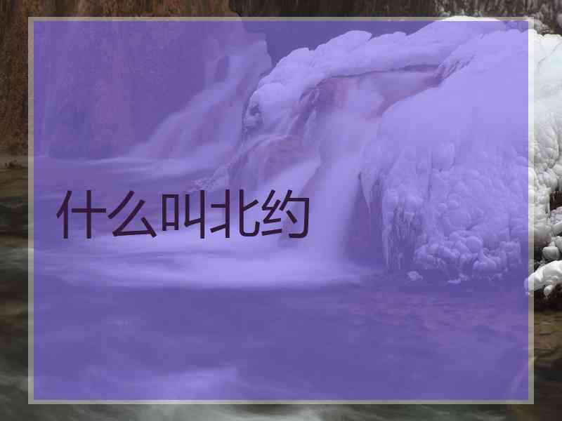 什么叫北约 什么叫北约