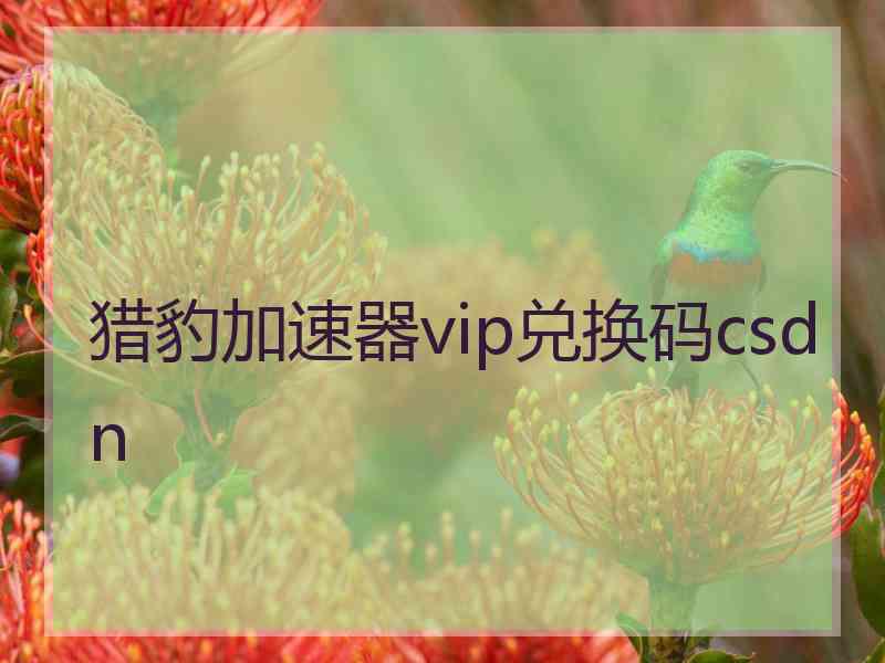 猎豹加速器vip兑换码csdn 猎豹加速器vip兑换码csdn