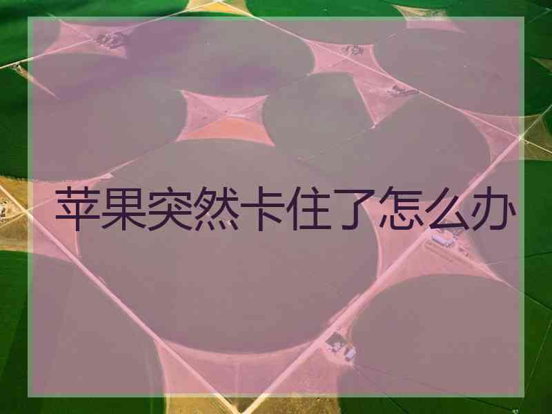 苹果突然卡住了怎么办 苹果突然卡住了怎么办
