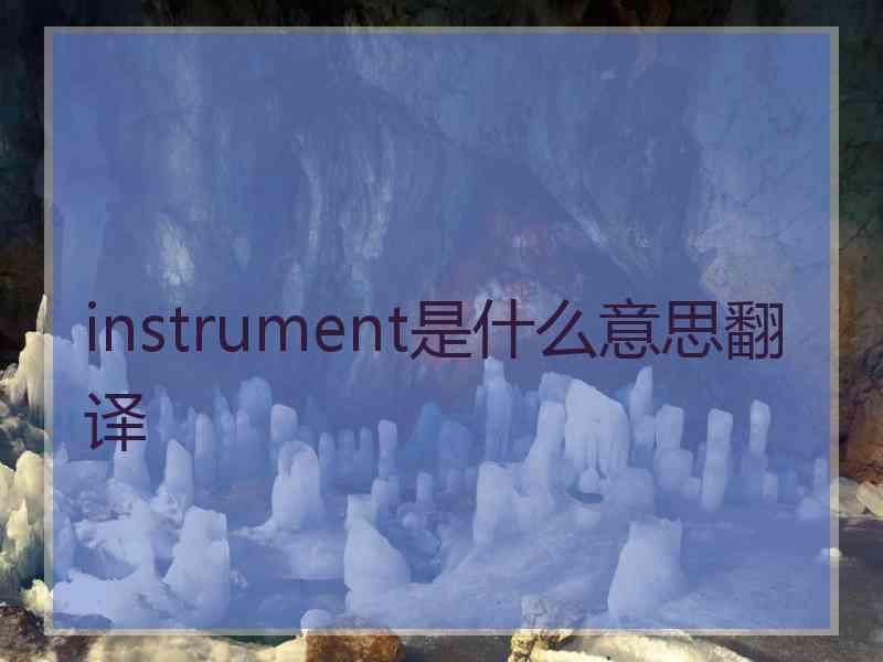 instrument是什么意思翻译 instrument是什么意思翻译