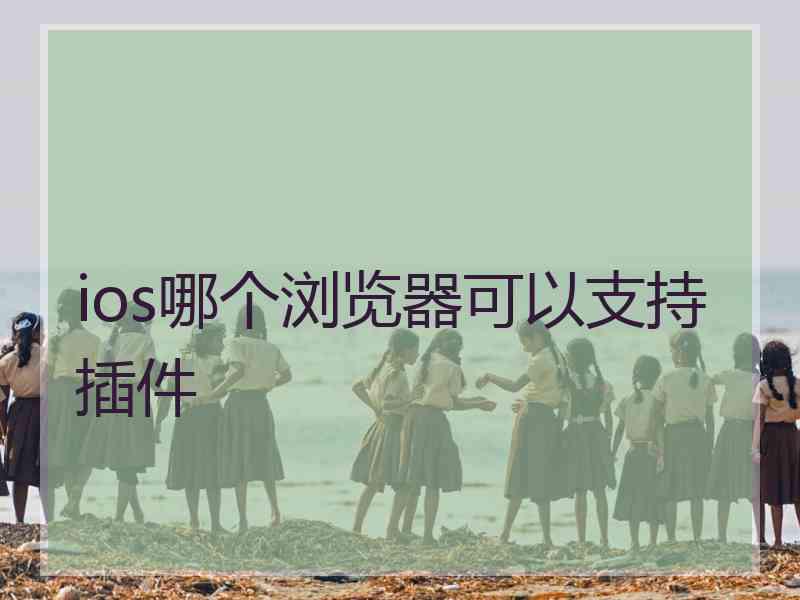 ios哪个浏览器可以支持插件 ios哪个浏览器可以支持插件
