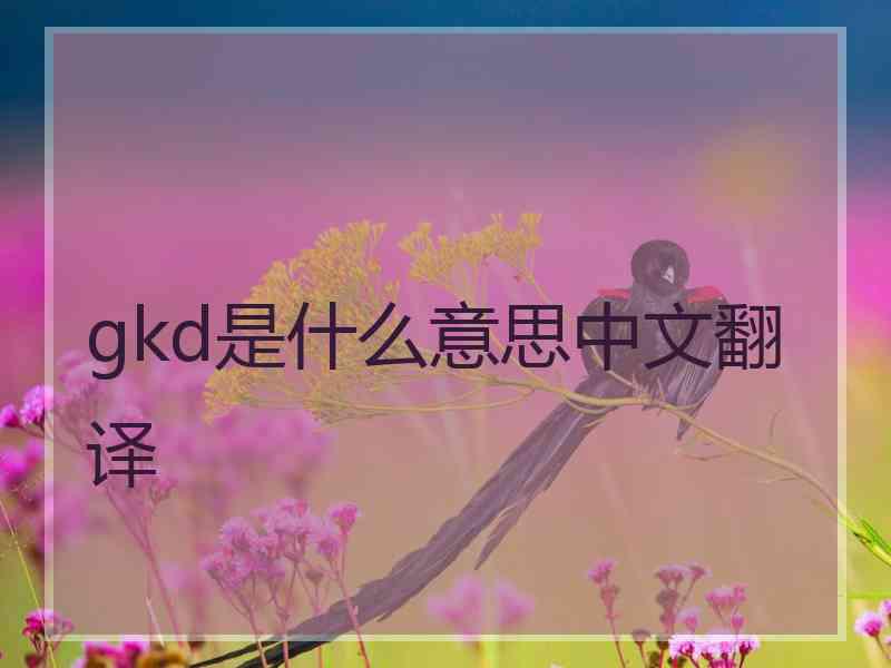 gkd是什么意思中文翻译 gkd是什么意思中文翻译