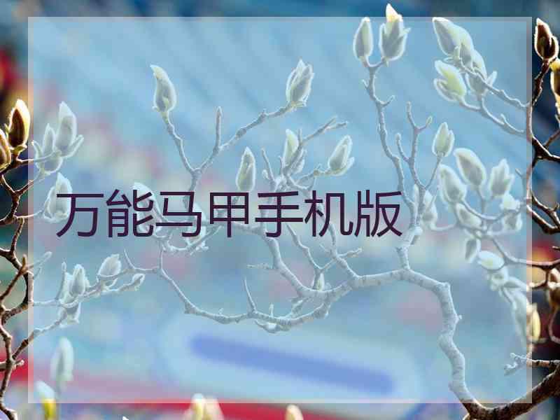 万能马甲手机版 万能马甲手机版