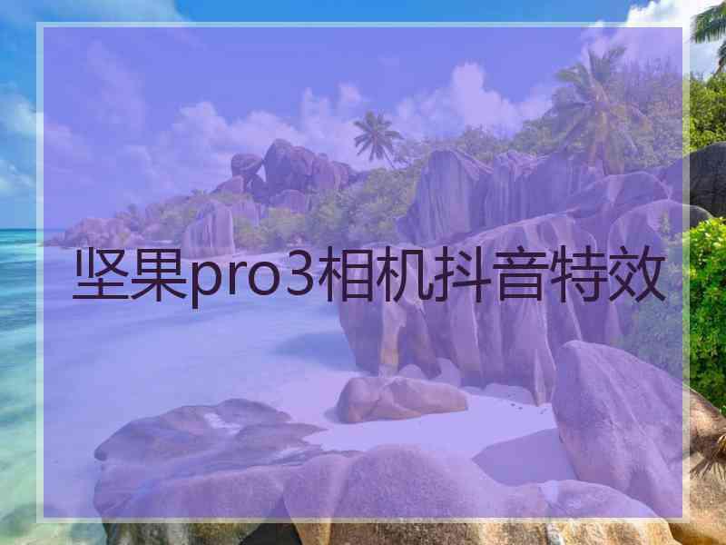 坚果pro3相机抖音特效 坚果pro3相机抖音特效