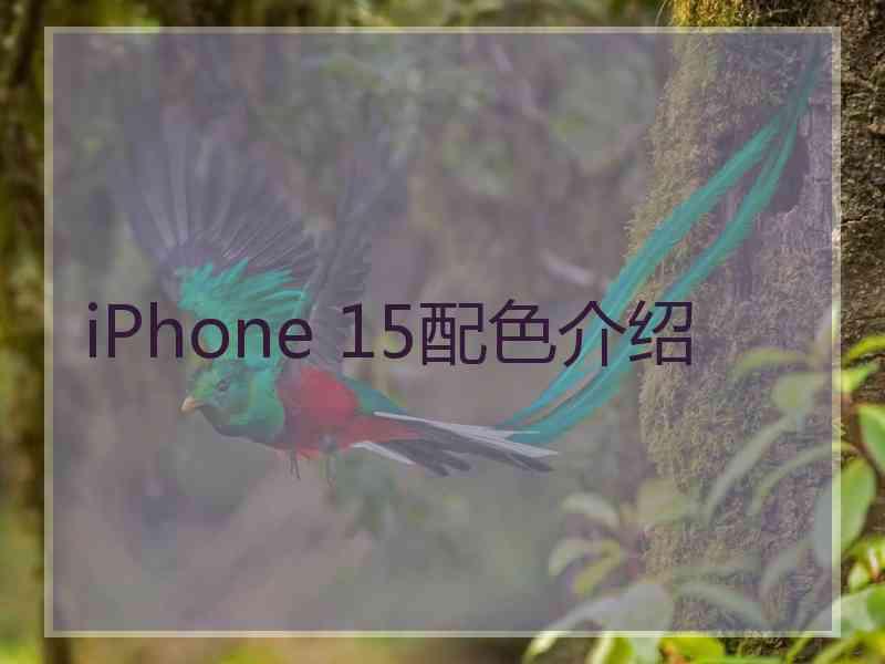 iPhone 15配色介绍 iPhone 15配色介绍