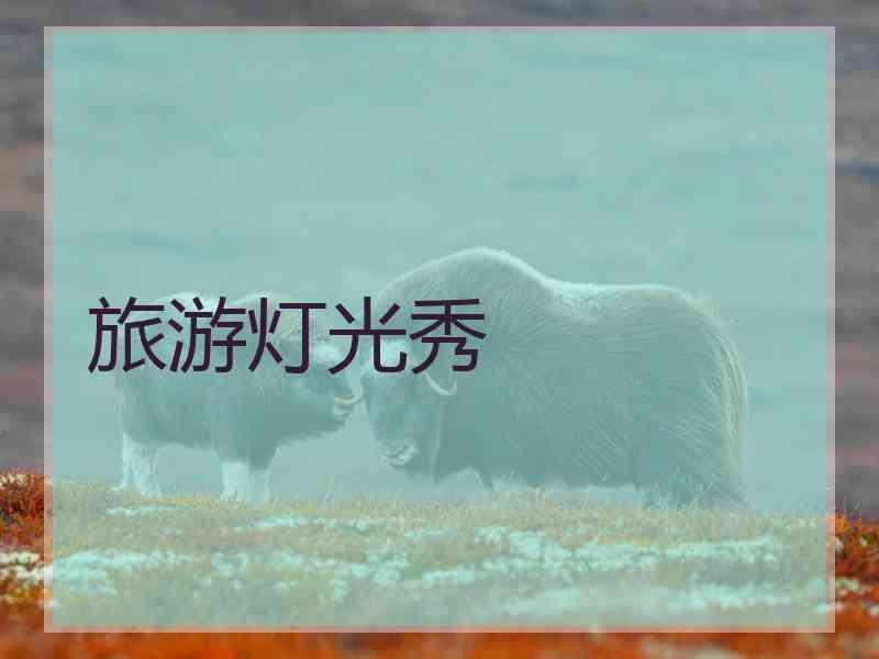 旅游灯光秀 旅游灯光秀