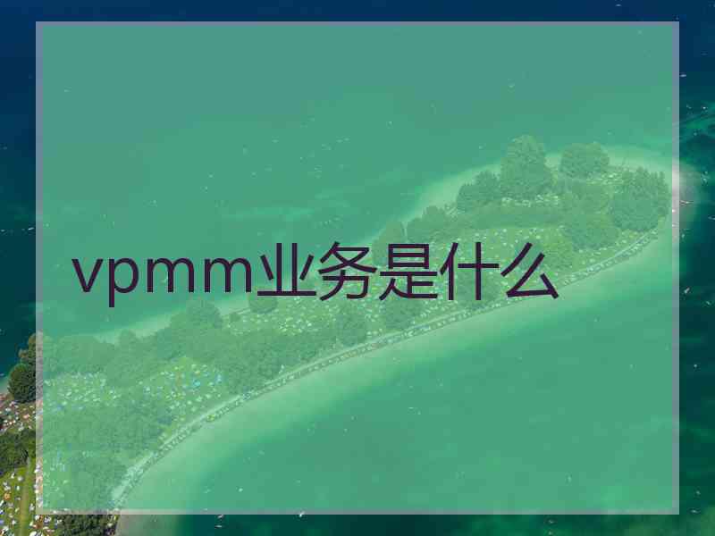 vpmm业务是什么 vpmm业务是什么