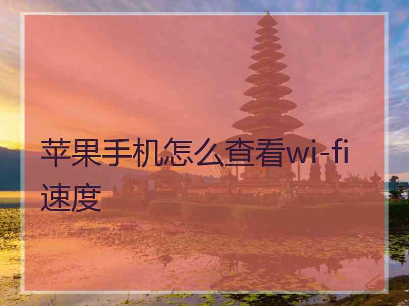 苹果手机怎么查看wi-fi速度 苹果手机怎么查看wi-fi速度