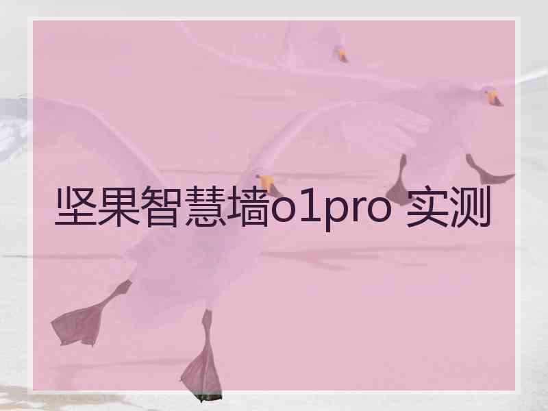坚果智慧墙o1pro 实测 坚果智慧墙o1pro 实测