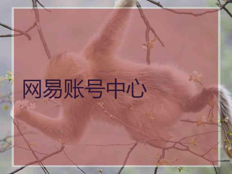 网易账号中心 网易账号中心