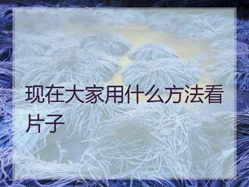 现在大家用什么方法看片子 现在大家用什么方法看片子