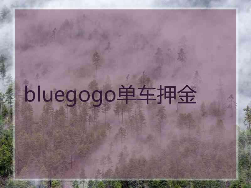 bluegogo单车押金 bluegogo单车押金