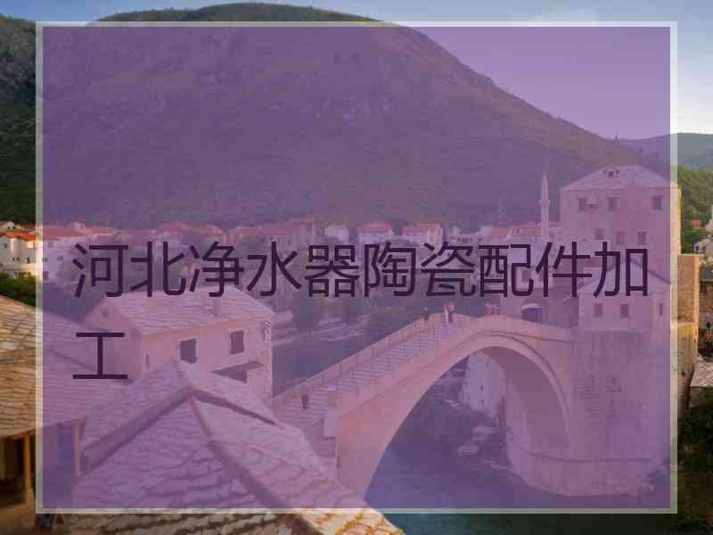 河北净水器陶瓷配件加工 河北净水器陶瓷配件加工