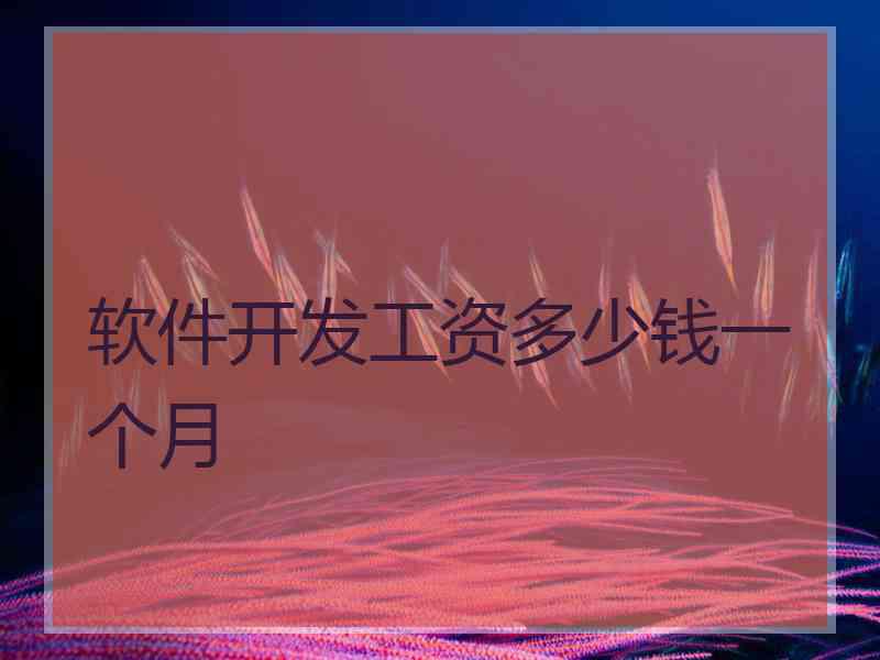 软件开发工资多少钱一个月 软件开发工资多少钱一个月