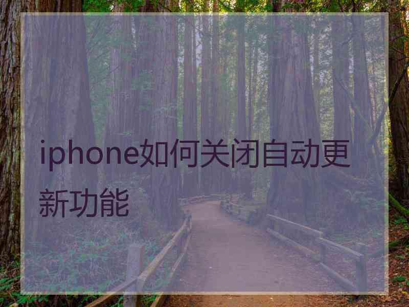 iphone如何关闭自动更新功能 iphone如何关闭自动更新功能