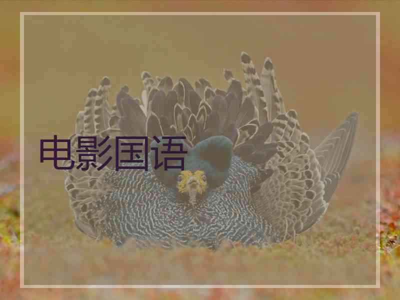 电影国语 电影国语