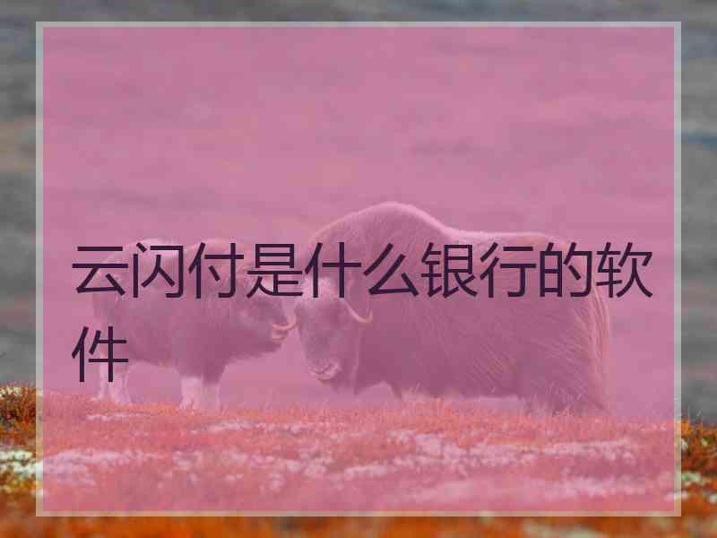 云闪付是什么银行的软件 云闪付是什么银行的软件