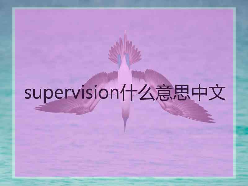 supervision什么意思中文 supervision什么意思中文