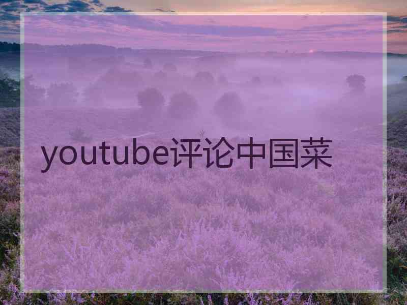 youtube评论中国菜 youtube评论中国菜
