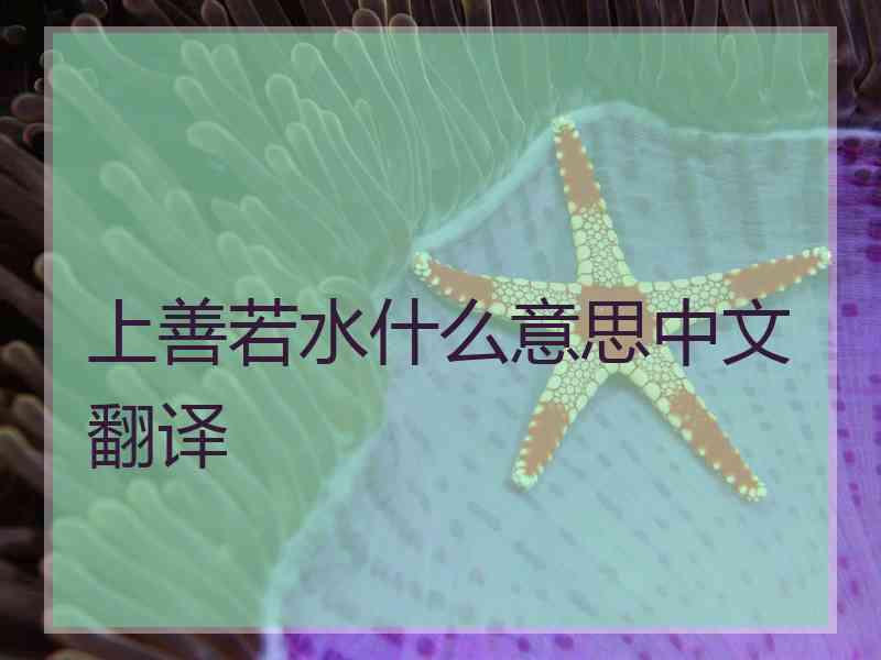 上善若水什么意思中文翻译 上善若水什么意思中文翻译