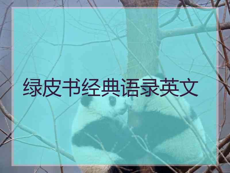 绿皮书经典语录英文 绿皮书经典语录英文