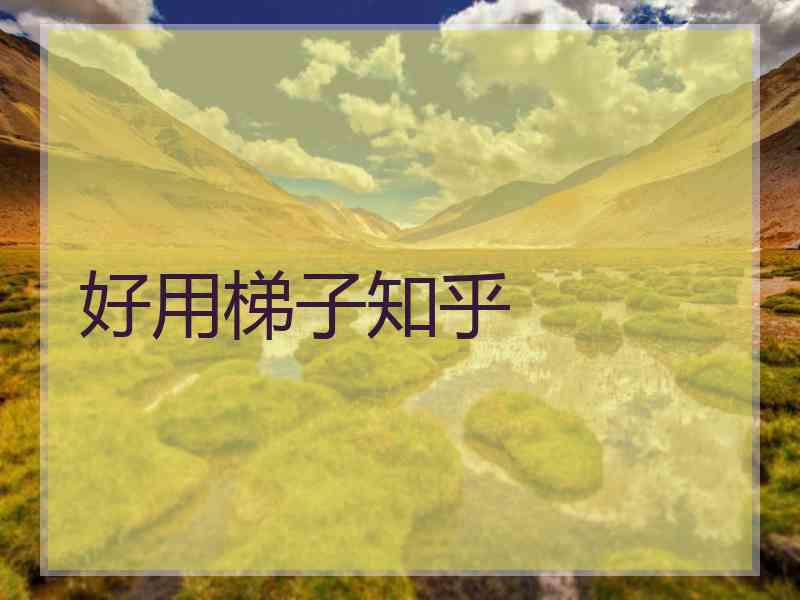 好用梯子知乎 好用梯子知乎