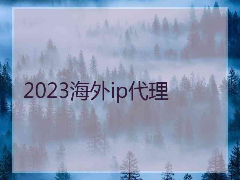 2023海外ip代理 2023海外ip代理