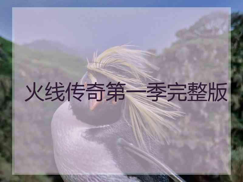 火线传奇第一季完整版 火线传奇第一季完整版