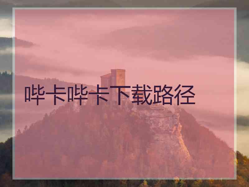 哔卡哔卡下载路径 哔卡哔卡下载路径