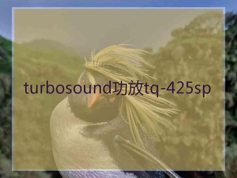 turbosound功放tq-425sp turbosound功放tq-425sp