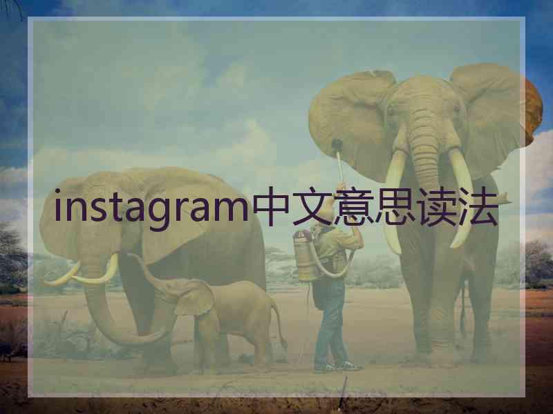 instagram中文意思读法 instagram中文意思读法