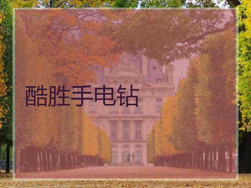 酷胜手电钻 酷胜手电钻