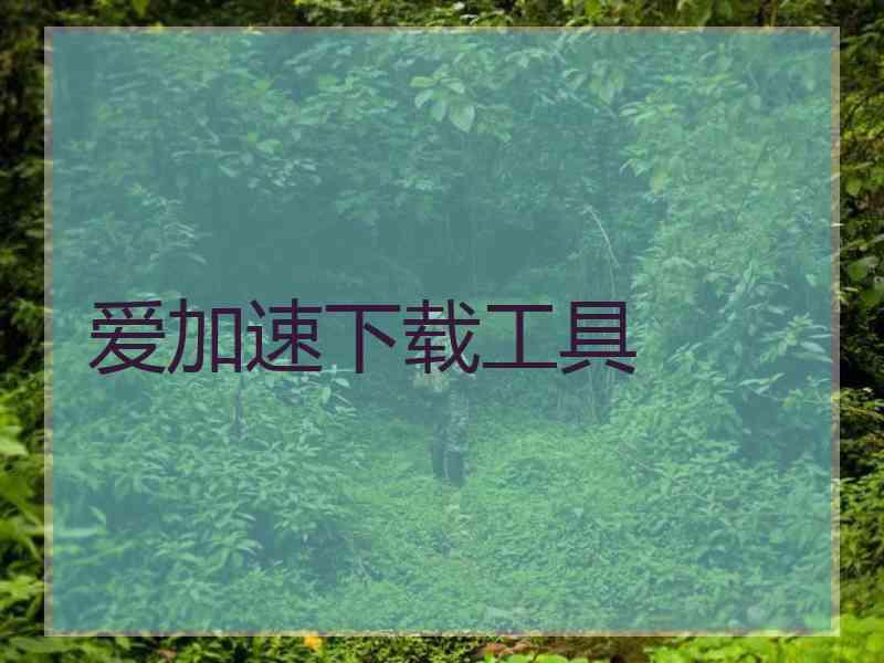 爱加速下载工具 爱加速下载工具