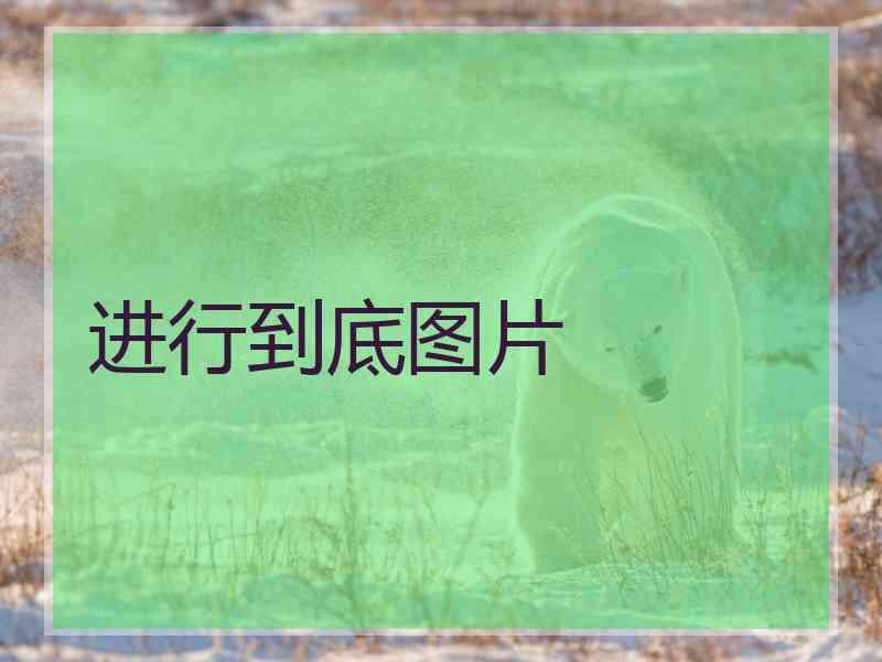 进行到底图片 进行到底图片