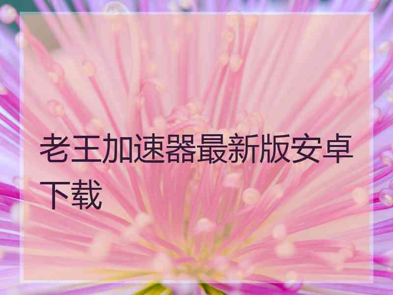 老王加速器最新版安卓下载 老王加速器最新版安卓下载