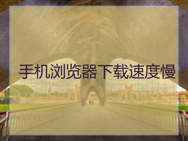 手机浏览器下载速度慢 手机浏览器下载速度慢