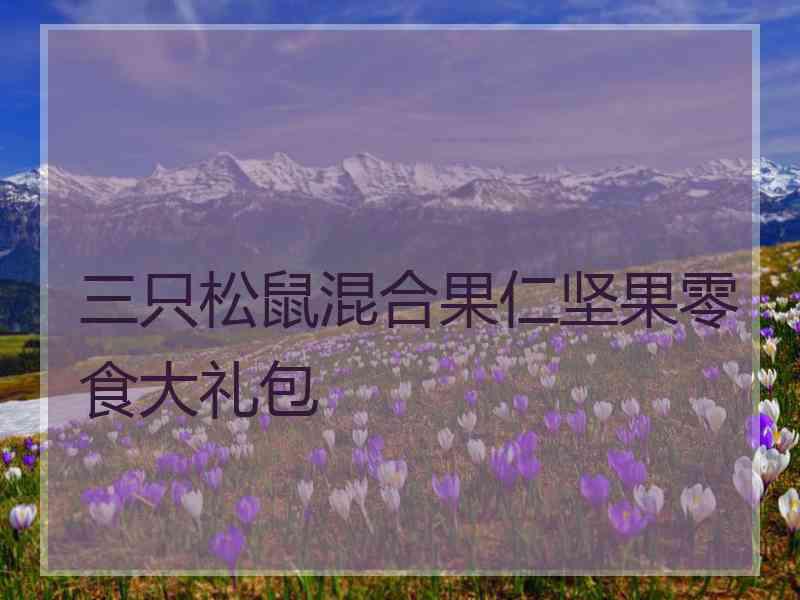 三只松鼠混合果仁坚果零食大礼包 三只松鼠混合果仁坚果零食大礼包